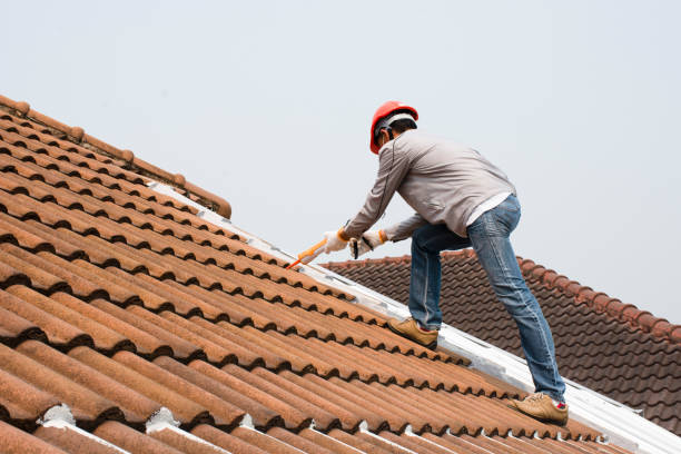  Lake City, SC Roofing services Pros